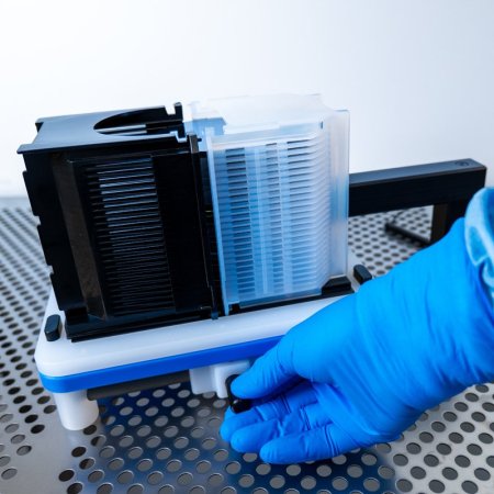 Manual wafer transfer (WHS-T3) 100 mm (4”) Manual wafer transfer (WHS-T3) 100 mm (4”)