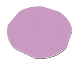 306-flex-frame-foam-cushion-disk